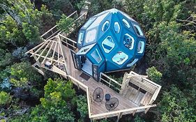 The Storm Hive - Misty Mountain Reserve